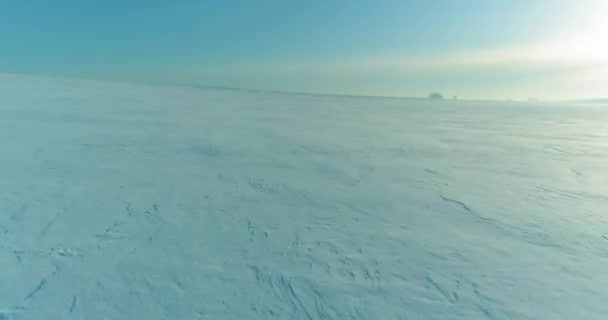 Pemandangan udara dingin lapangan kutub musim dingin, pohon ditutupi salju beku, es sungai dan sinar matahari di atas cakrawala. Cuaca suhu sangat rendah. — Stok Video