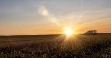 Sonbahar günbatımında çayır zamanı. Vahşi doğa ve kırsal çimler. Güneş ışınları ve sarı çimenler. Motorlu doli kaydırma ve panorama hareketi