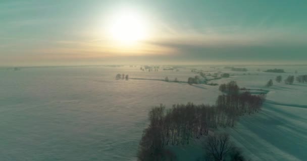 Vista aerea del freddo paesaggio invernale campo artico, alberi coperti di neve gelata, fiume ghiaccio e raggi solari all'orizzonte. Clima estremo a bassa temperatura. — Video Stock