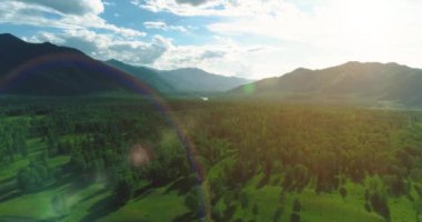 Hava görüntüsü. Güneşli bir yaz akşamında sonsuz dağ ormanları olan sonsuz yeşil çam ağacı manzarasının üzerinde alçak uçuş. Ufuktaki güneş ışınları. Hızlı yatay hareket. Vahşi doğa.