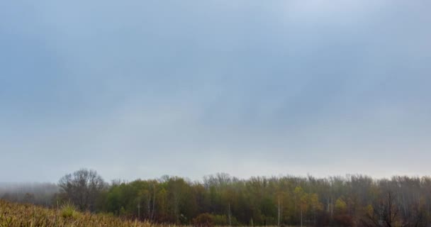 Górska łąka timelapse w jesiennym wschodzie słońca. Dzika przyroda i wiejskie pole trawy. Poranna mgła, promienie słońca i drzewa. Suwak z wózkiem silnikowym — Wideo stockowe