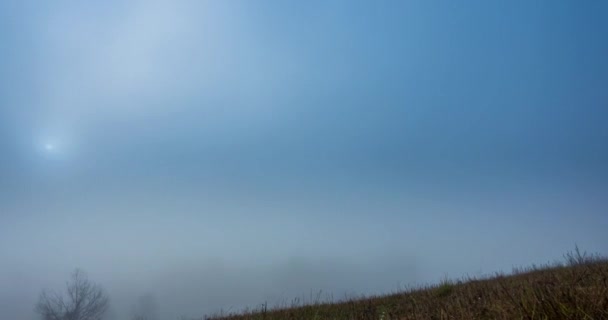 Górska łąka timelapse w jesiennym słońcu czasie. Dzika przyroda i wiejskie pole trawy. Poranna mgła, promienie słońca i drzewa. Suwak z wózkiem silnikowym — Wideo stockowe