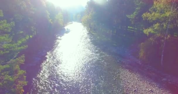 Vol à basse altitude au-dessus d'une rivière de montagne fraîche et rapide avec des rochers au soleil matin d'été. — Video