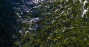 Güneşli yaz sabahında kayalarla birlikte taze, hızlı dağ nehri üzerinde alçak irtifa uçuşu..