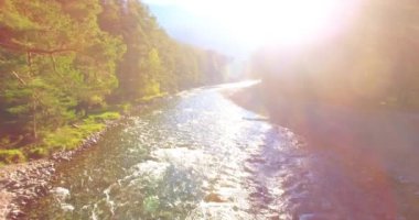 Güneşli yaz sabahında kayalarla birlikte taze, hızlı dağ nehri üzerinde alçak irtifa uçuşu..