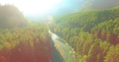 Güneşli yaz sabahında kayalarla birlikte taze, hızlı dağ nehri üzerinde alçak irtifa uçuşu..