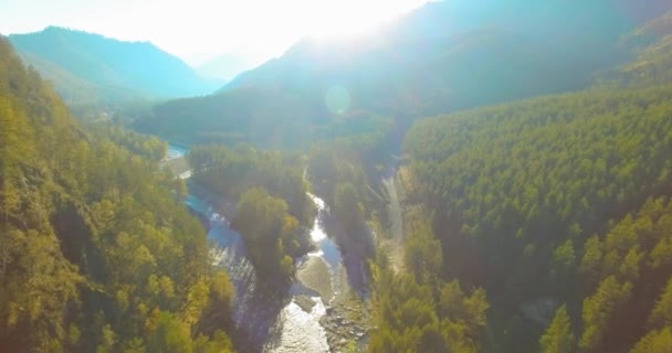 Πτήση χαμηλού υψομέτρου πάνω από φρέσκο γρήγορο ορεινό ποτάμι με βράχια το ηλιόλουστο πρωινό του καλοκαιριού. — Αρχείο Βίντεο