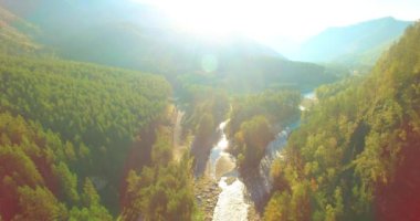 Güneşli yaz sabahında kayalarla birlikte taze, hızlı dağ nehri üzerinde alçak irtifa uçuşu..