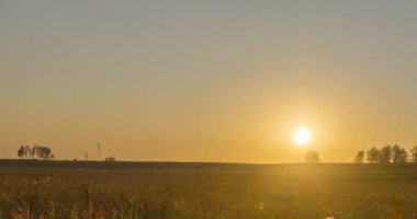 Yaz günbatımında düz tepe çayır zaman çizelgesi. Vahşi doğa ve kırsal çimler. Güneş ışınları ve ağaçlar. Motorlu doli kaydırıcı