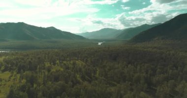 Hava görüntüsü. Güneşli bir yaz akşamında sonsuz dağ ormanları olan sonsuz yeşil çam ağacı manzarasının üzerinde alçak uçuş. Ufuktaki güneş ışınları. Hızlı yatay hareket. Vahşi doğa.