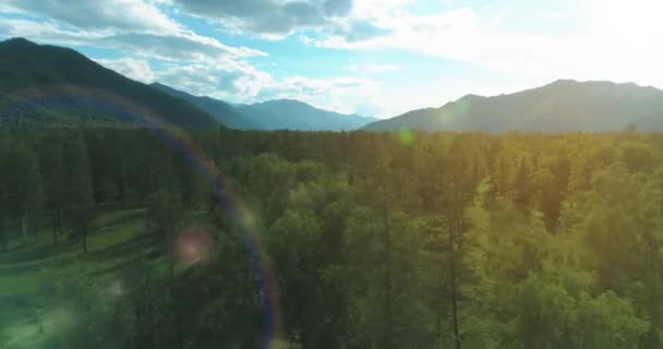 Vista aerea. Basso volo sopra il paesaggio di pini sempreverdi con una foresta di montagne senza fine nella soleggiata serata estiva. Raggi solari all'orizzonte. Movimento orizzontale veloce. Natura selvaggia — Video Stock