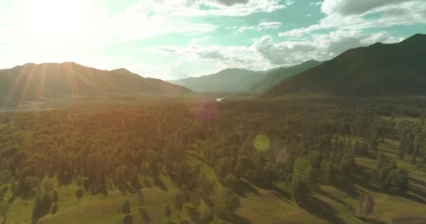 Luftaufnahme. Tiefflug über immergrüne Kiefernlandschaft mit endlosem Bergwald an sonnigen Sommerabenden. Sonnenstrahlen am Horizont. Schnelle horizontale Bewegung. Wilde Natur — Stockvideo