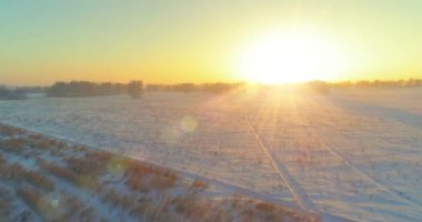 Arktik çayırlı soğuk kış manzarası, karla kaplı ağaçlar ve ufukta sabah güneşleri..