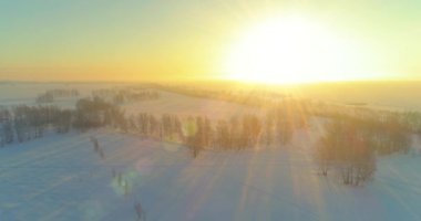 Arktik çayırlı soğuk kış manzarası, karla kaplı ağaçlar ve ufukta sabah güneşleri..