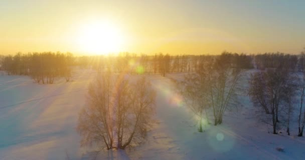 Flygdrönare syn på kallt vinterlandskap med arktiska fält, träd täckta med frost snö och morgonsol strålar över horisonten. — Stockvideo