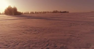 Arktik çayırlı soğuk kış manzarası, karla kaplı ağaçlar ve ufukta sabah güneşleri..