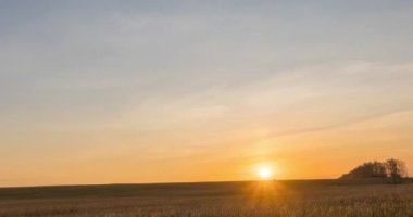 Sonbahar gündoğumu saatinde çayır zamanı. Vahşi doğa ve kırsal çimler. Güneş ışınları ve sarı çimenler. Motorlu doli kaydırma ve panorama hareketi