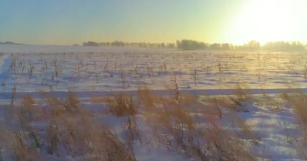 Drohnenaufnahme der kalten Winterlandschaft mit arktischem Feld, Bäumen mit Frostschnee und Morgensonnenstrahlen über dem Horizont. — Stockvideo