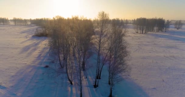 Воздушный беспилотник с видом на холодный зимний пейзаж с арктическим полем, деревья, покрытые морозным снегом и утренние солнечные лучи над горизонтом. — стоковое видео