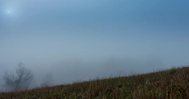 Górska łąka timelapse w jesiennym słońcu czasie. Dzika przyroda i wiejskie pole trawy. Poranna mgła, promienie słońca i drzewa. Suwak z wózkiem silnikowym — Wideo stockowe