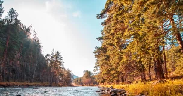 4K UHD mountain river timelapse at the summer or autumn time. Wild nature, clear water and rural evergreen valley. Sun rays, small creek and yellow grass. Motorised dolly slider movement — Stock Video