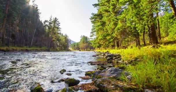 4K UHD hegyi folyó időeltolódása nyáron vagy ősszel. Vad természet, tiszta víz és vidéki örökzöld völgy. Napsugarak, kis patak és sárga fű. Motoros babacipő mozgása — Stock videók