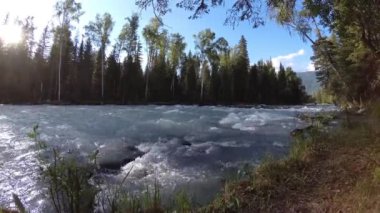 Dağ nehri kıyısındaki çayır. Yeşil çimlerle, çam ağaçlarıyla ve güneş ışınlarıyla kaplı bir manzara. Motorlu kaydırma kulesinde hareket.