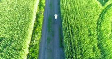 Kırsal yoldaki bir çim tarlasında bisiklet süren genç bir çocuğun hava manzarası. Güneş ışığı ve ışınlar.