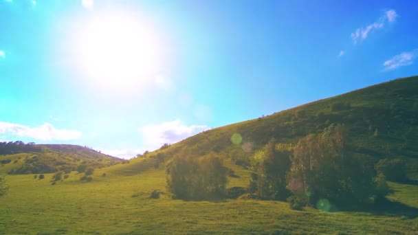 山の牧草地の夏にはタイムラプス。雲、木、緑の草、太陽光線の動き. — ストック動画