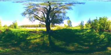 UHD 4K 360 VR Bir nehrin Sanal Gerçekliği güzel dağ ormanlarında kayaların üzerinden akıyor