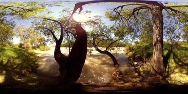 UHD 4K 360 VR La realidad virtual de un río fluye sobre rocas en un hermoso paisaje de bosque de montaña — Vídeo de stock