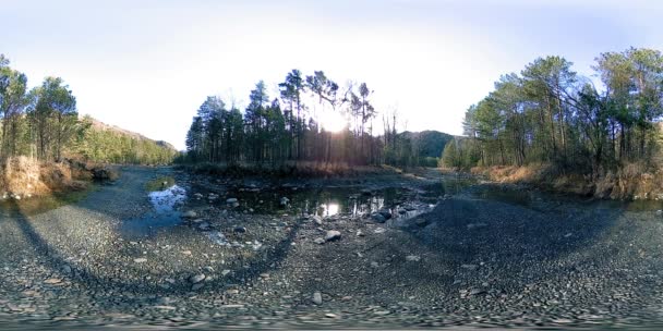 360 VR réalité virtuelle d'une montagne sauvage, pinède et rivière coule. Parc national, prairie et rayons du soleil. — Video