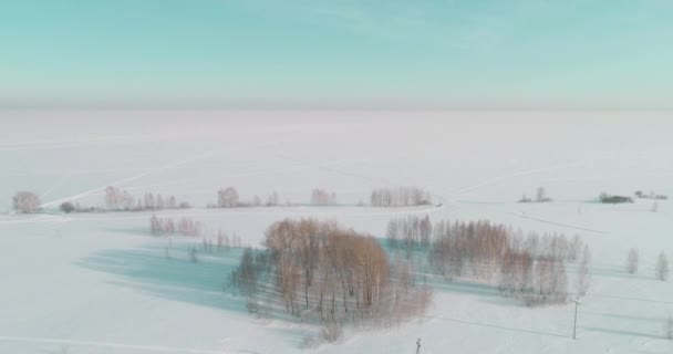 Повітряний вид на холодне зимове ландшафтне арктичне поле, дерева, покриті морозним снігом, крижаною річкою та сонячними променями над горизонтом. Екстремальна низька температура . — стокове відео