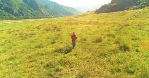 Sırt çantasıyla gezen turist yeşil dağ tarlasında yürüyor. Yaz günü büyük kırsal vadi. — Stok video