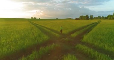 Sportif çocuk yeşil buğday tarlasında koşuyor. Kırsal çayırlarda akşam sporu alıştırmaları. Mutlu bir çocukluk sağlıklı bir yaşam biçimidir. Radikal hareket, güneş ışınları ve ot.