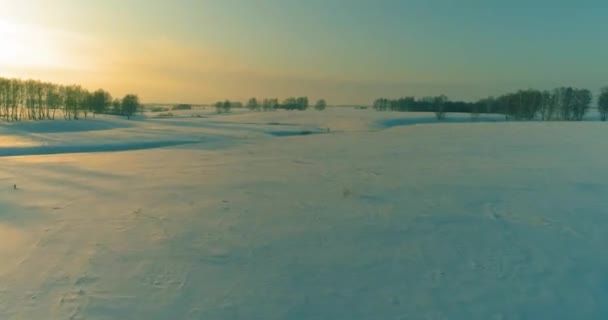 Vista aérea del frío paisaje del campo ártico, árboles con nieve helada, ríos de hielo y rayos de sol sobre el horizonte. Clima de baja temperatura extrema. — Vídeos de Stock