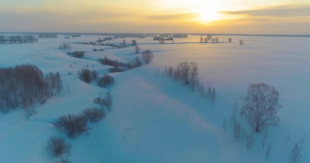 Luftaufnahme der kalten arktischen Feldlandschaft, Bäume mit Frostschnee, Eisfluss und Sonnenstrahlen über dem Horizont. Extrem niedrige Temperaturen. — Stockvideo