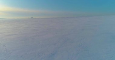 Soğuk kış manzarası kutup bölgesi, karla kaplı ağaçlar, ufukta buz nehri ve güneş ışınları. Aşırı düşük sıcaklık havası.