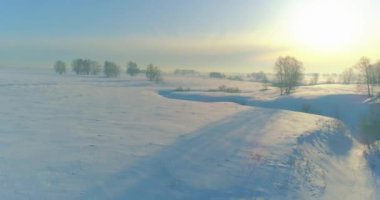 Soğuk kış manzarası kutup bölgesi, karla kaplı ağaçlar, ufukta buz nehri ve güneş ışınları. Aşırı düşük sıcaklık havası.