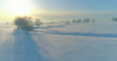 Soğuk kış manzarası kutup bölgesi, karla kaplı ağaçlar, ufukta buz nehri ve güneş ışınları. Aşırı düşük sıcaklık havası.