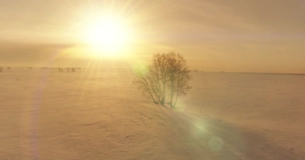 Luchtfoto van het koude winterlandschap van het poolgebied, bomen bedekt met vorst sneeuw, ijsrivier en zonnestralen over de horizon. Extreem lage temperatuur weer. — Stockvideo