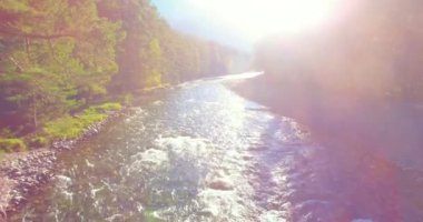 Güneşli yaz sabahında kayalarla birlikte taze, hızlı dağ nehri üzerinde alçak irtifa uçuşu..