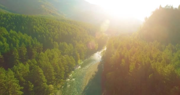 Low altitude flight over fresh fast mountain river with rocks at sunny summer morning. — Stock Video