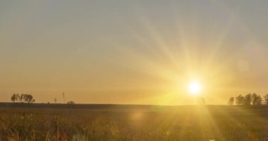 Yaz günbatımında düz tepe çayır zaman çizelgesi. Vahşi doğa ve kırsal çimler. Güneş ışınları ve ağaçlar. Motorlu doli kaydırıcı