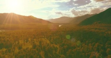 Hava görüntüsü. Güneşli bir yaz akşamında sonsuz dağ ormanları olan sonsuz yeşil çam ağacı manzarasının üzerinde alçak uçuş. Ufuktaki güneş ışınları. Hızlı yatay hareket. Vahşi doğa.