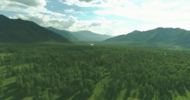 Hava görüntüsü. Güneşli bir yaz akşamında sonsuz dağ ormanları olan sonsuz yeşil çam ağacı manzarasının üzerinde alçak uçuş. Ufuktaki güneş ışınları. Hızlı yatay hareket. Vahşi doğa.