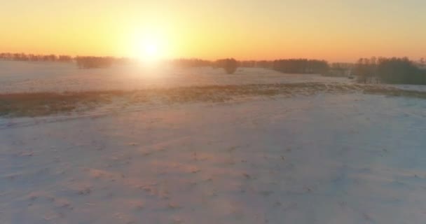Aerial drone view of cold winter landscape with arctic field, trees covered with frost snow and morning sun rays over horizon. — Stock Video