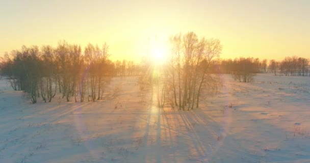 Vista aérea de drones del frío paisaje invernal con campo ártico, árboles cubiertos de nieve helada y rayos de sol matutinos sobre el horizonte. — Vídeo de stock
