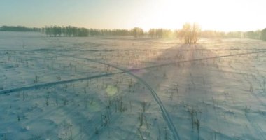 Arktik çayırlı soğuk kış manzarası, karla kaplı ağaçlar ve ufukta sabah güneşleri..