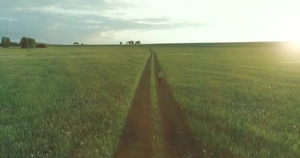 Un enfant sportif court dans un champ de blé vert. Exercices d'entraînement sportif en soirée dans un pré rural. Une enfance heureuse est un mode de vie sain. Mouvement radial, rayons du soleil et herbe. — Video